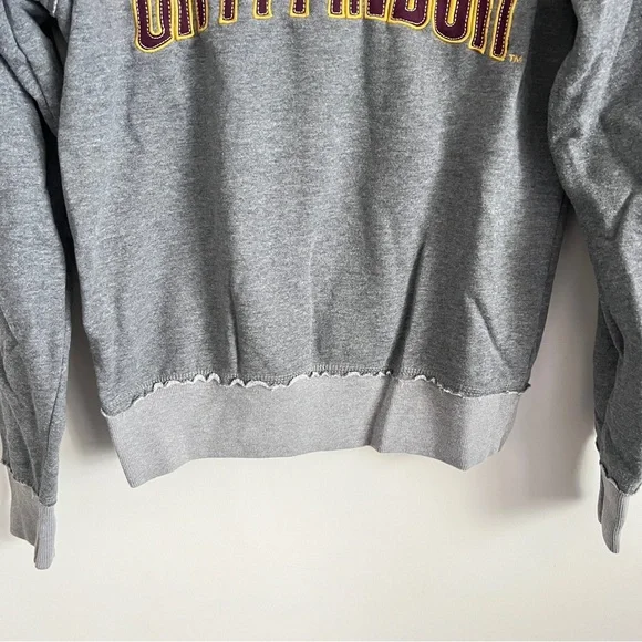 Harry Potter Gryffindor Sweatshirt Universal Studios Park Exclusive Gray Size S - Picture 3 of 11